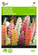 Lupin Minarette Seeds